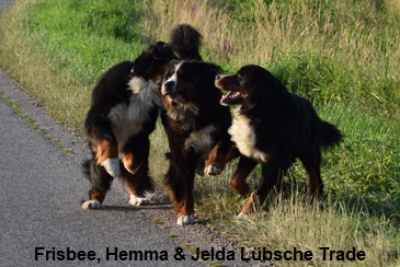 Frisbee, Hemma & Jelda Lübsche Trade