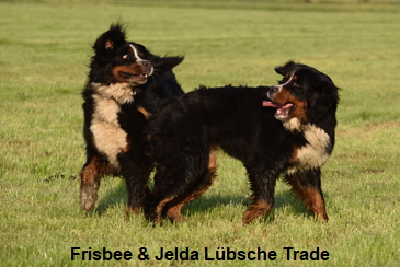 Frisbee & Jelda Lübsche Trade