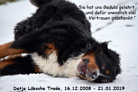 Detje Lübsche Trade, 16.12.2008 - 21.01.2019