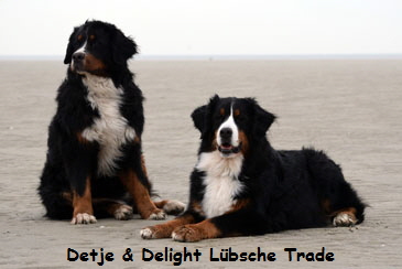 Detje & Delight Lbsche Trade