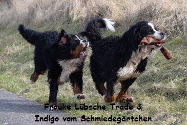 Frauke Lbsche Trade & Indigo vom Schmiedegrtchen