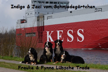Indigo & Jaci vom Schmiedegrtchen, Frauke & Fynna Lbsche Trade