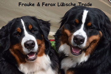 Frauke & Ferox Lbsche Trade