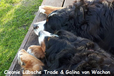 Cleonie Lbsche Trade & Galina von Wachon