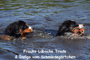 Frauke Lbsche Trade & Indigo vom Schmiedegrtchen