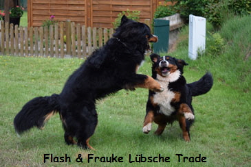 Flash & Frauke Lbsche Trade