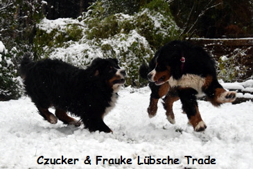 Czucker & Frauke Lbsche Trade