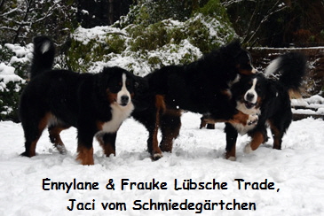 Ennylane & Frauke Lbsche Trade, Jaci vom Schmiedegrtchen