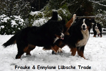 Frauke & Ennylane Lbsche Trade