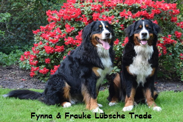 Fynna & Frauke Lbsche Trade