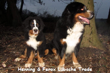 Henning & Ferox Lbsche Trade