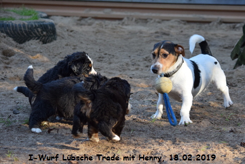 I-Wurf Lbsche Trade mit Henry, 18.02.2019