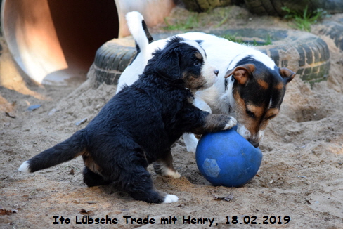 Ito Lbsche Trade mit Henry, 18.02.2019