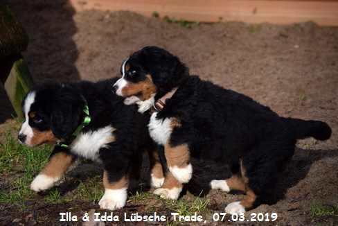 Illa & Idda Lbsche Trade, 07.03.2019