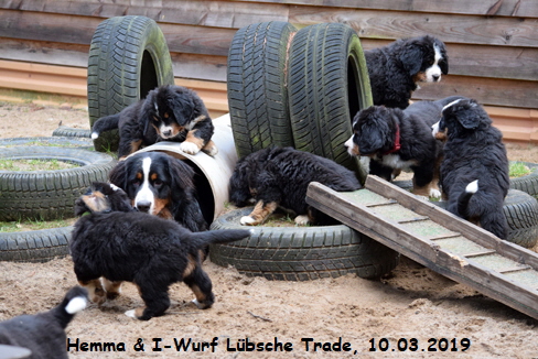 Hemma & I-Wurf Lbsche Trade, 10.03.2019