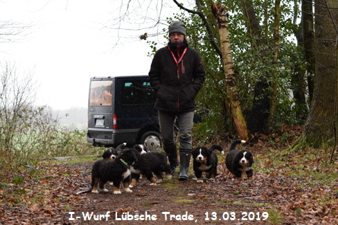 I-Wurf Lbsche Trade, 13.03.2019