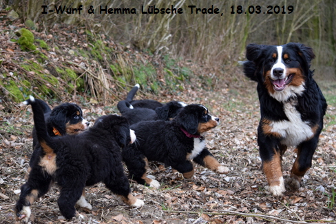 I-Wurf & Hemma Lbsche Trade, 18.03.2019