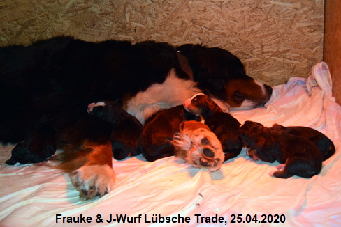 Frauke & J-Wurf Lbsche Trade, 25.04.2020
