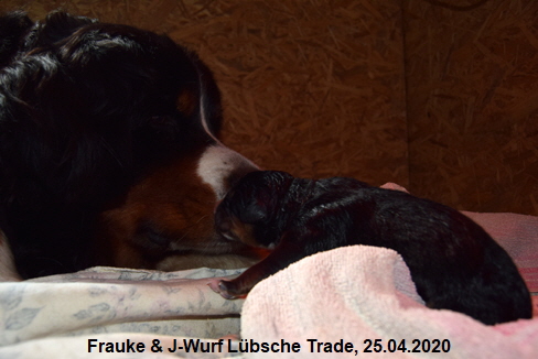 Frauke & J-Wurf Lbsche Trade, 25.04.2020