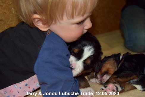 Jerry & Jondu Lbsche Trade, 12.05.2020