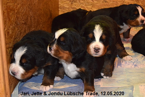 Jari, Jette & Jondu Lbsche Trade, 12.05.2020