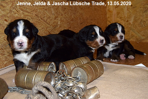 Jenne, Jelda & Jascha Lbsche Trade, 13.05.2020
