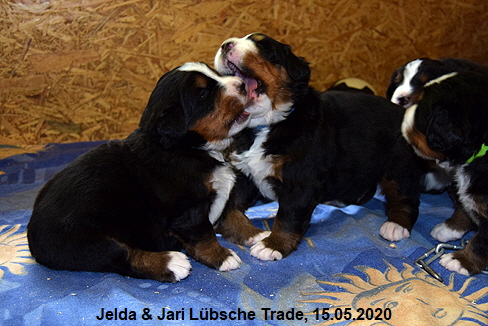 Jelda & Jari Lbsche Trade, 15.05.2020