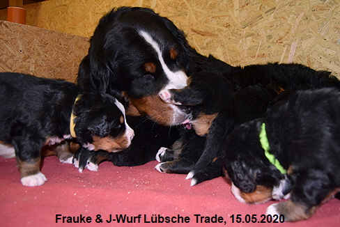 Frauke & J-Wurf Lbsche Trade, 15.05.2020