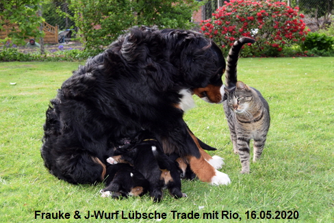 Frauke & J-Wurf Lbsche Trade mit Rio, 16.05.2020