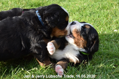 Jari & Jerry Lbsche Trade, 16.05.2020