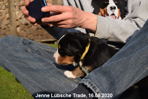 Jenne Lbsche Trade, 16.05.2020