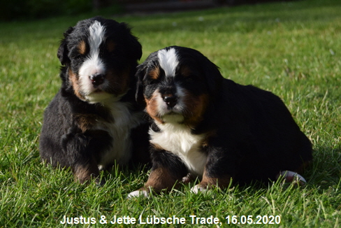 Justus & Jette Lbsche Trade, 16.05.2020