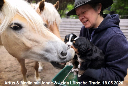 Artus & Merlin mit Jenne & Jelda Lbsche Trade, 18.05.2020