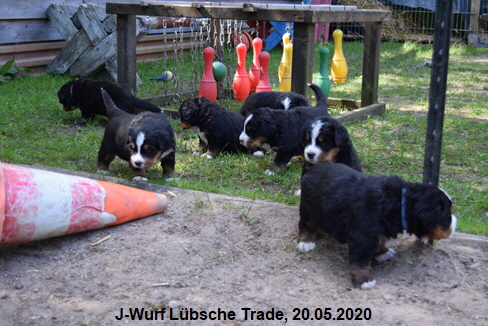 J-Wurf Lbsche Trade, 20.05.2020