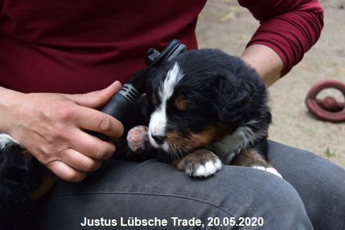 Justus Lbsche Trade, 20.05.2020