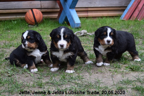 Jette, Jenne & Jelda Lbsche Trade, 20.05.2020