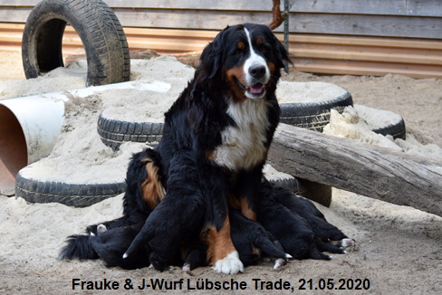 Frauke & J-Wurf Lbsche Trade, 21.05.2020
