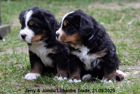 Jerry & Jondu Lbsche Trade, 21.05.2020