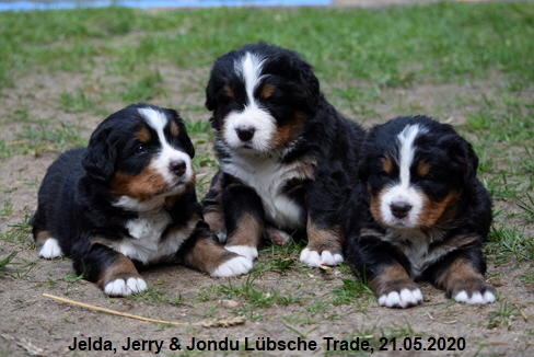 Jelda, Jerry & Jondu Lbsche Trade, 21.05.2020