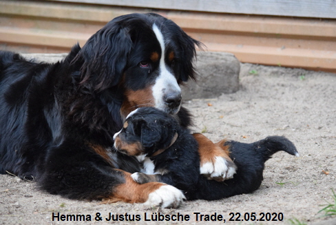 Hemma & Justus Lbsche Trade, 22.05.2020