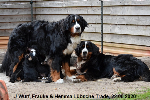 J-Wurf, Frauke & Hemma Lbsche Trade, 22.05.2020
