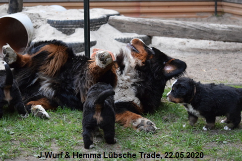 J-Wurf & Hemma Lbsche Trade, 22.05.2020