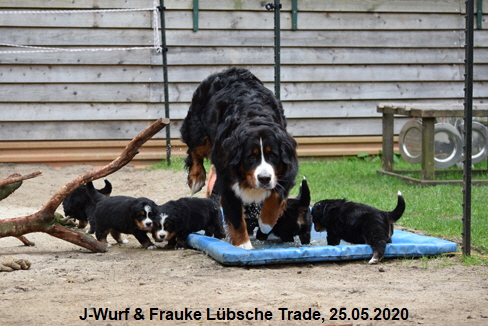 J-Wurf & Frauke Lbsche Trade, 25.05.2020