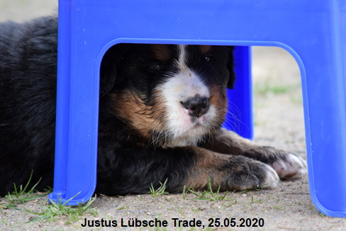 Justus Lbsche Trade, 25.05.2020