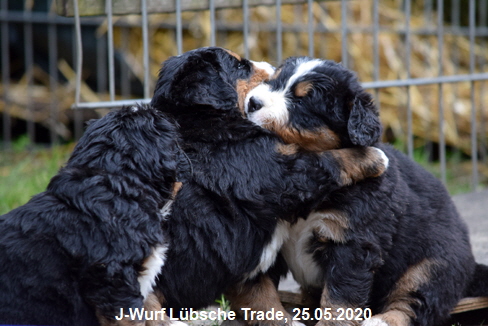 J-Wurf Lbsche Trade, 25.05.2020