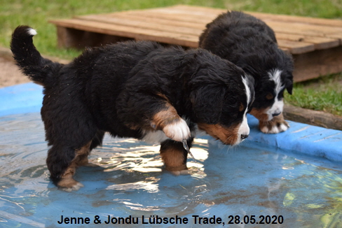 Jenne & Jondu Lbsche Trade, 28.05.2020