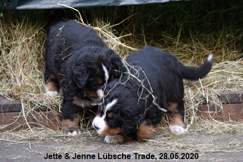 Jette & Jenne Lbsche Trade, 28.05.2020