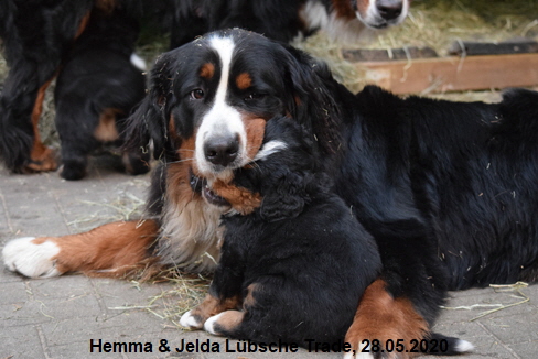 Hemma & Jelda Lbsche Trade, 28.05.2020