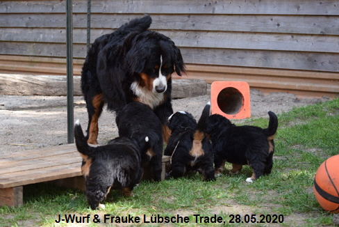 J-Wurf & Frauke Lbsche Trade, 28.05.2020