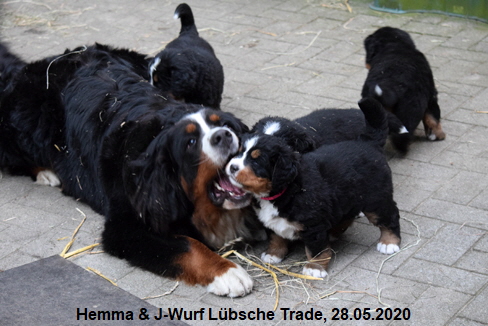 Hemma & J-Wurf Lbsche Trade, 28.05.2020
